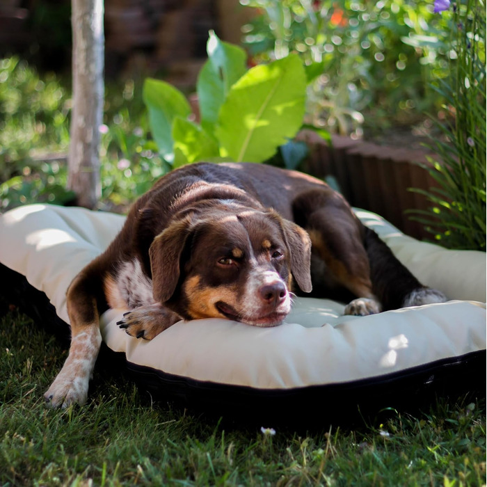 Килимок для собак 4L Textil Ella, 90x70 см, бежевий - водовідштовхувальне штучне шкіряне ліжко для собак середніх порід