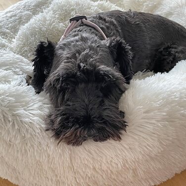 Ліжко для кота Nobby Donut Classic ESLA, бежеве, Ø 70 x 26 см