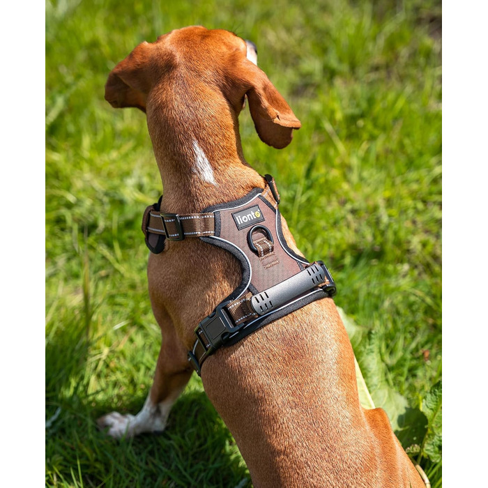 Шлейка для собак Ionto з відбиваючим матеріалом, м'яка, розмір M, коричнева, з двома кільцями та 4 ременями, з фіксаторами та гумовим ручним захопленням