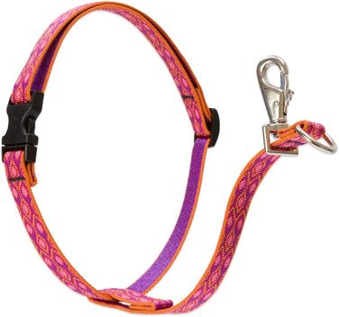 Шлея LupinePet Originals, 3/10,2 см, без натягу, для малих і середніх собак, регульована 40,6–66 см