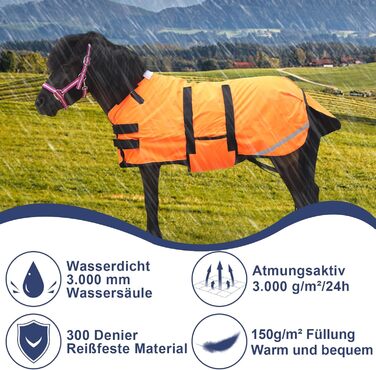 Gallopoff 300D ковдра для поні та шетлендських поні, 150г/м², легка водонепроникна зимова ковдра для поні, лошат, міні-коней, дихаюча та зносостійка