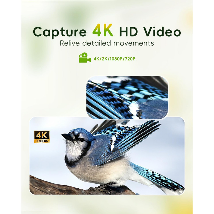 Розумний годівничка-відеокамера для птахів Hibird 32МП, 4K, AI, Wi-Fi, нічне бачення, 10000мАг, 32ГБ