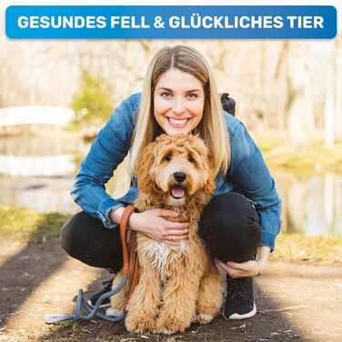 BluePet 2.0 - щітка для вичісування довгошерстих собак та котів | Розпушувач ворсу з двома рядами зубців | Розплутує, видаляє підшерстя, згладжує | Версія 2.0, блакитна