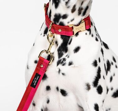 Повідок для собак Kate Spade New York 1,4 м, міцний, з золотистою фурнітурою, стильний для малих і середніх порід