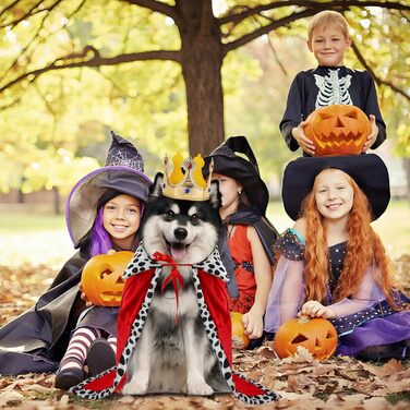 Костюм для собак 