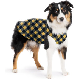 колір: золотисто-бурий бафаллоро.