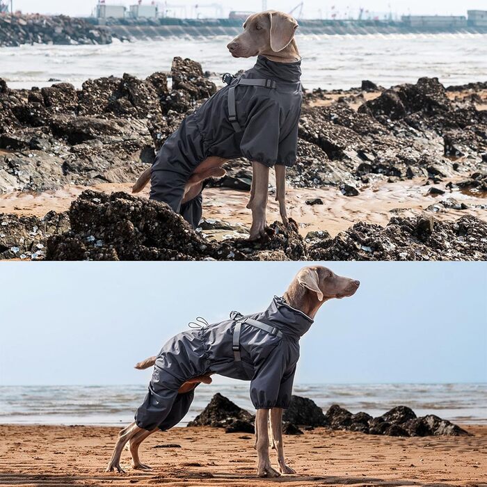 Водонепроникний комплект для собак BT Bear: жилет, дощовик, жилетка, для середніх та великих собак, розмір 6XL, чорний