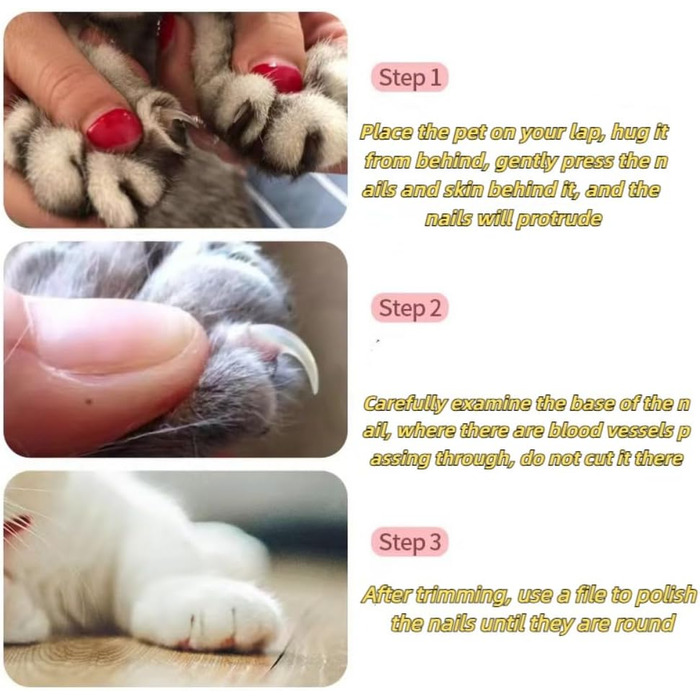 Кусачки для обрізання кігтів собак та котів, нержавіюча сталь, професійний інструмент для грумінгу з захистом від перерізання, гостра клинка