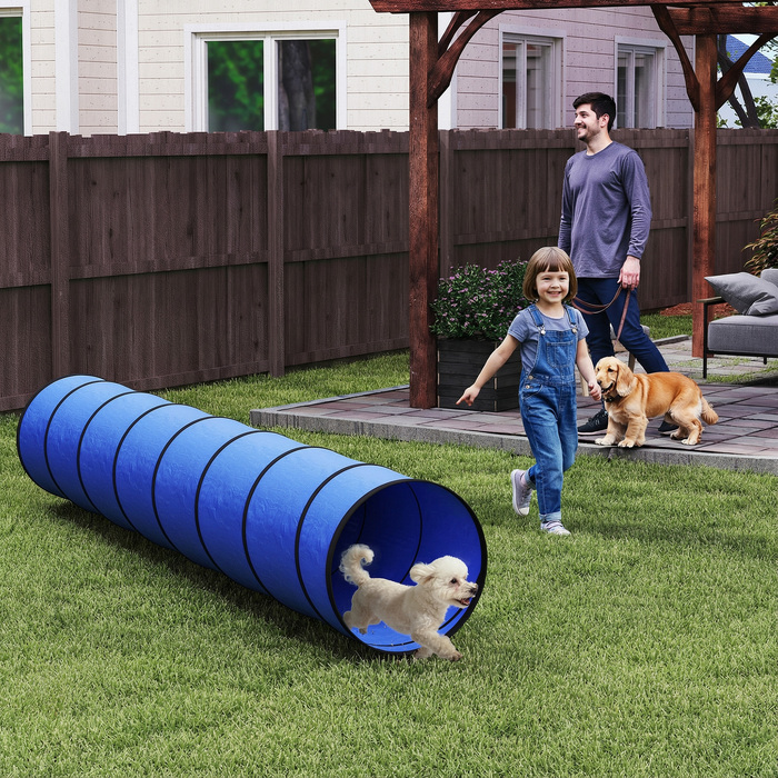 Тунель для собак Agility (300 x 50 см) з 4 анкерами для кріплення та сумкою для перенесення, ігровий тунель для малих та середніх порід, синій