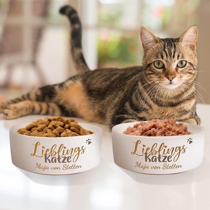 Котловий набір з кераміки з іменем 'Улюблений кіт' | Набір мисок для їжі та води для котів | Миски для котів з підставкою | Подвійний набір мисок для котів 500 мл