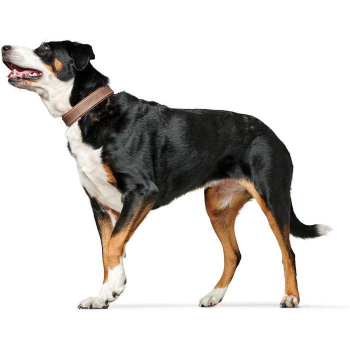 Нашийник для собак HUNTER PORTO, шкіряний, tabak/cognac, ручної роботи, розмір 40