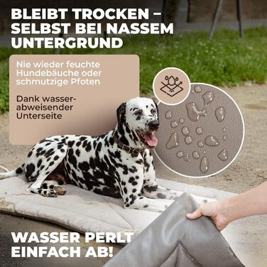 Водонепроникний килимок для собак, плед для пікніка - лежанка для собак, килимок для тварин для відпочинку на вулиці та в приміщенні, подорожі для домашніх тварин (Сірий, 75x55x3см), Розмір S, приблизно 75x55x3см Сірий