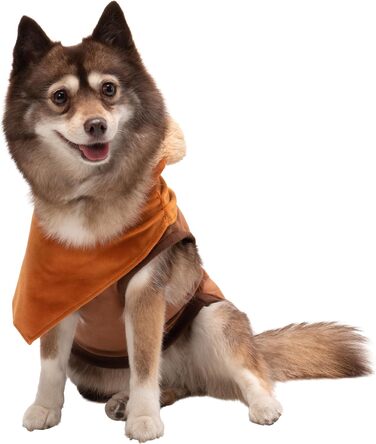 Худі-костюм Євока Star Wars: офіційний, з капюшоном та навушниками, розмір M, багатокольоровий