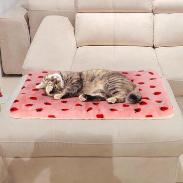 М'який лежак для собак та котів середнього розміру, 80x60 см, знімний, миючий, сірий/з полуничками