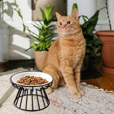 Підвищений годівниця для котів, кераміка, миска для котів з металевим підставкою, вода або корм для домашніх тварин, годівниці для котів, кошенят, цуценят та маленьких собак, придатна для миття в посудомийній машині