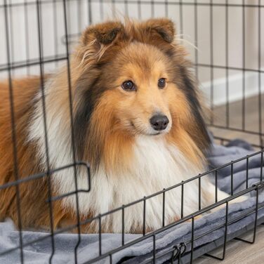 TRIXIE складана клітка для собак Home XL 116×86×77 см, металева транспортна переноска з 2 дверцятами та замками, чорна, для дому та подорожей
