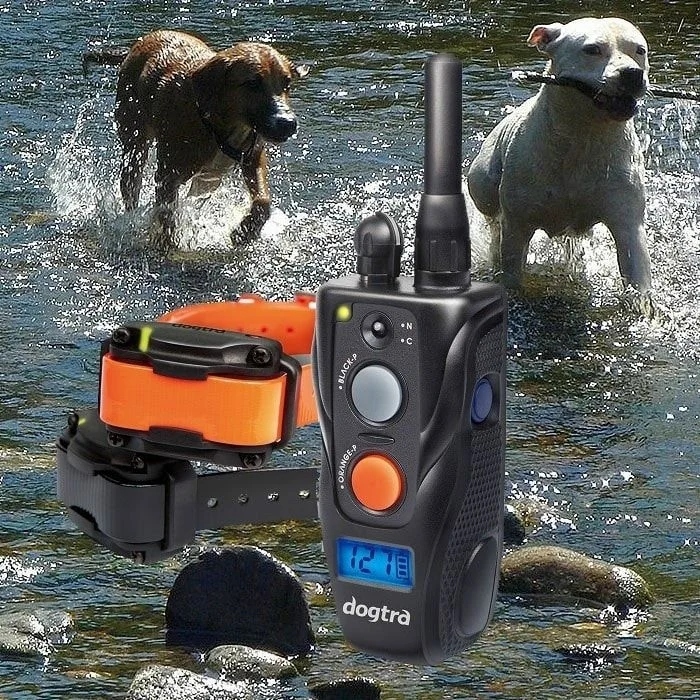 Електричний набір нашийників Dogtra 642C TRESER PSA для двох собак
