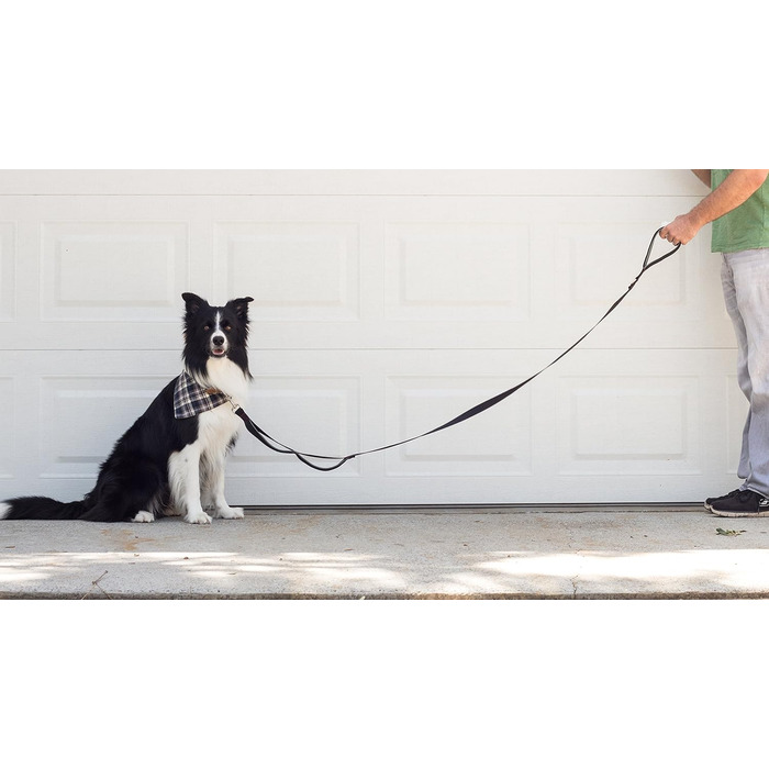 Повідок Leash Boss для великих собак з двома ручками та додатковою транспортною ручкою, міцний, з подвійною м'якою підкладкою, для вигулу та дресирування