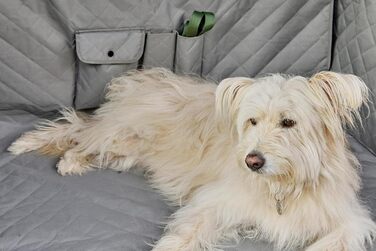 Захист для автосидіння для собак Loop Hundematte: водонепроникний, з кишенями, нековзний, для комфортних подорожей | LOOP-DMK5001