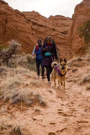 RUFFWEAR Overcoat Fuse: Куртка та шлейка для собак 2-в-1, з флісовою підкладкою, Purple Rain, X-Small