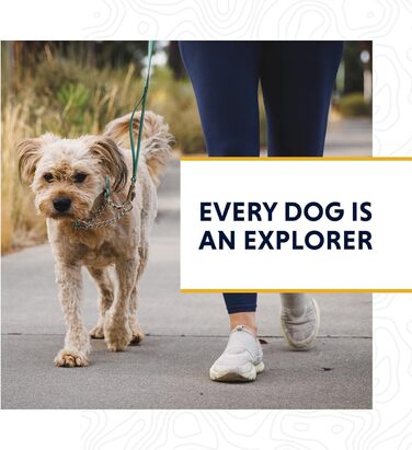 Нашийник для собак RUFFWEAR Chain Reaction, синій, розмір M