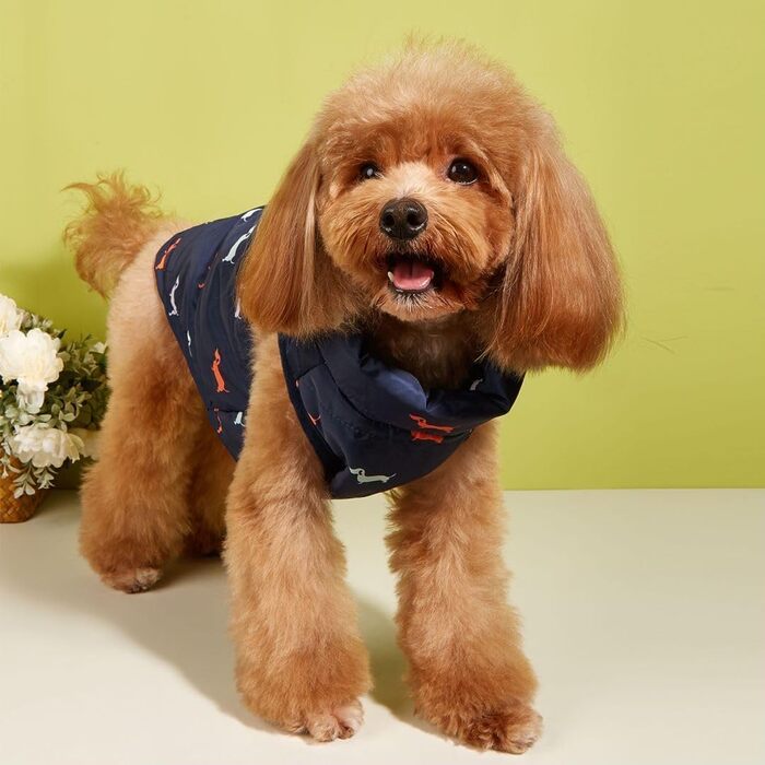 Зимовий теплий одяг для собак - тепла куртка для маленьких собак, вітронепроникний одяг для собак з отвором для повірця, чорний (XXS, Синій)