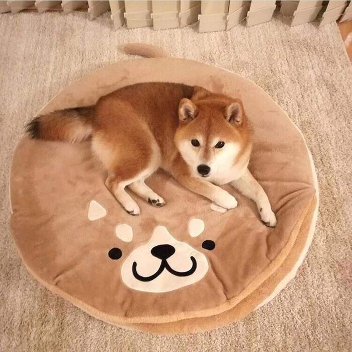 Кругле ліжко для собак та котів Shiba Inu з м'якого плюшу. Лежанка для домашніх тварин, велике ліжко для собак.