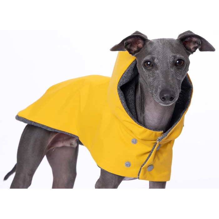 Водонепроникний дощовик Yigi з капюшоном та отвором для шлейки, з флісовою підкладкою, теплий, дихаючий пончо для собак, куртка для італійських віндхундів (X-Large)