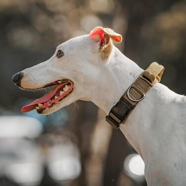 Нашийник для собак OneTigri з металевою застібкою (S, Ranger Green)