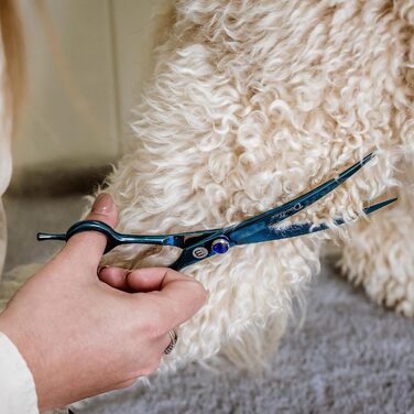 Ножиці для грумінгу собак Mikki Doodle, 19 см: для стрижки та формування шерсті