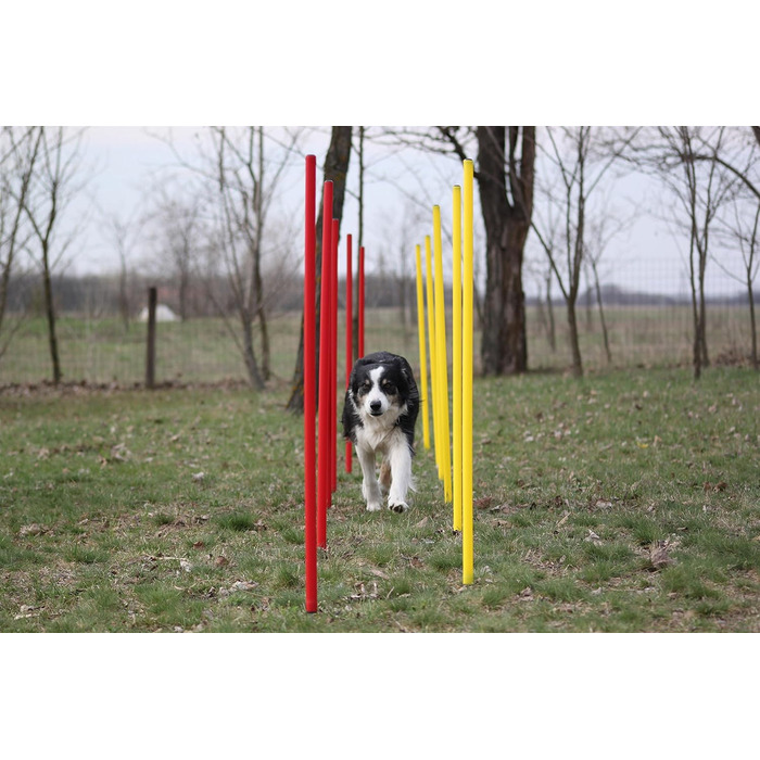 Набір для тренувань Wuzzmann Agility - Слайт-конуси (12 шт), червоно-жовтий