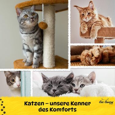 Набір для туалету котів Cat Centre з високим бортиком, без кришки, рожевий, 50 x 38,5 см (сірий)