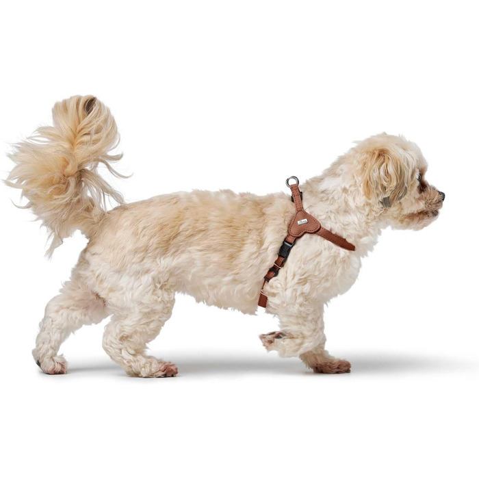 Нашийник для собак HUNTER SOHO MINI, колір: коричневий (cognac), з натуральної шкіри, м'який, не травмує шерсть, легкий, для маленьких собак та цуценят, Made in Germany, розмір XXS-XS/2