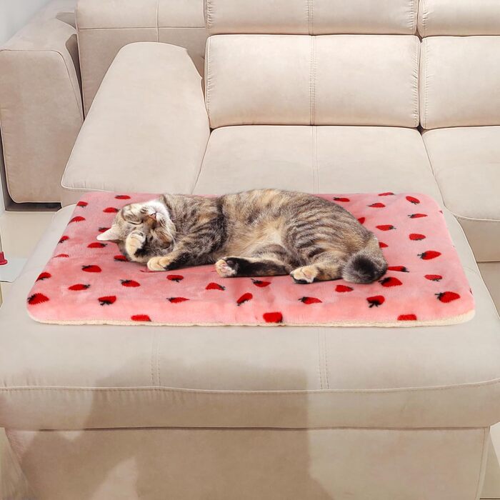 М'який лежак для собак та котів середнього розміру, 80x60 см, знімний, миючий, сірий/з полуничками