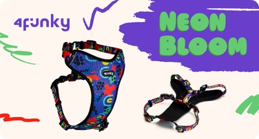 Шлейка Guard Comfort Neon Bone | 4Funky | Регульована, для малих собак (розмір S)