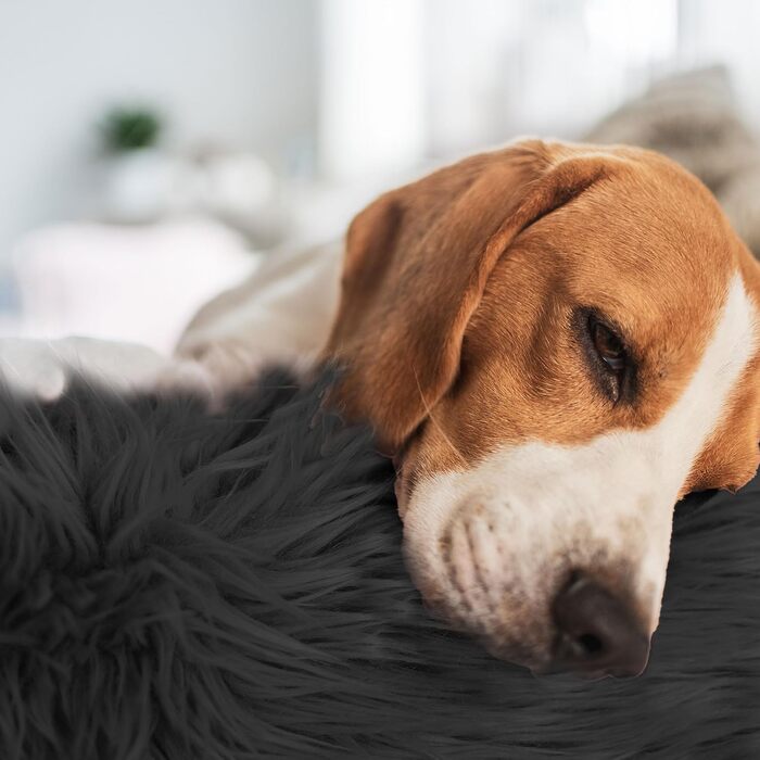 Кругле ліжко для собак та котів 60 см - М'яке, пухнасте ліжко з піднятими бортиками - Нековзний низ - Силіконова наповнювач для комфорту та тепла - Легке у догляді - (графіт)