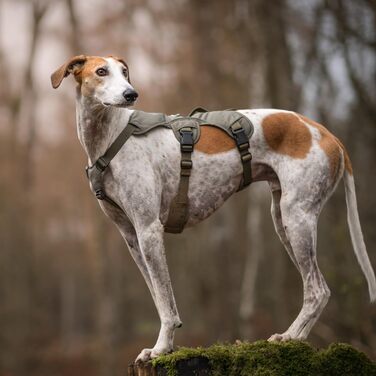 Snootiful Hound амуніція для грейхаунда – втечостійка шлейка для лurcher та хортів, 3-точкова, м'яко утеплена, не ковзає, оливкова, розмір M