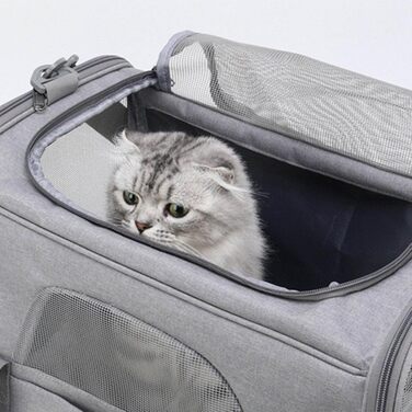 Транспортна сумка для кота/маленького собаки, складана переноска для тварин, автотранспортна сумка з вентиляцією