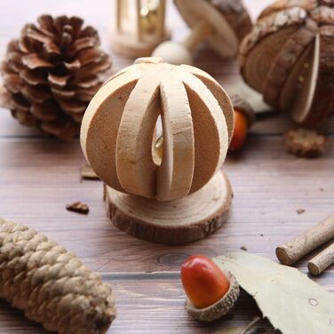 Дерев'яні іграшки для гризунів Winterworm: 6 шт. для хом'яків, мишей, шиншил, кроликів, мишовидних гризунів та морських свинок