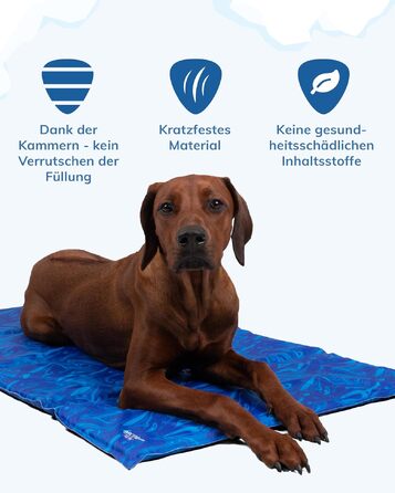 Охолоджувальний килимок для собак TrendPet Arctic Comfort, самоохолоджуюча підстилка для домашніх тварин, преміум-якість, потовщена (75x55 см)