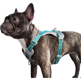 колір: блакитний