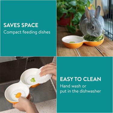 Набори мисок для тварин Navaris: для кошенят, морських свинок, кроликів - 2 шт. Кераміка, зелений/помаранчевий