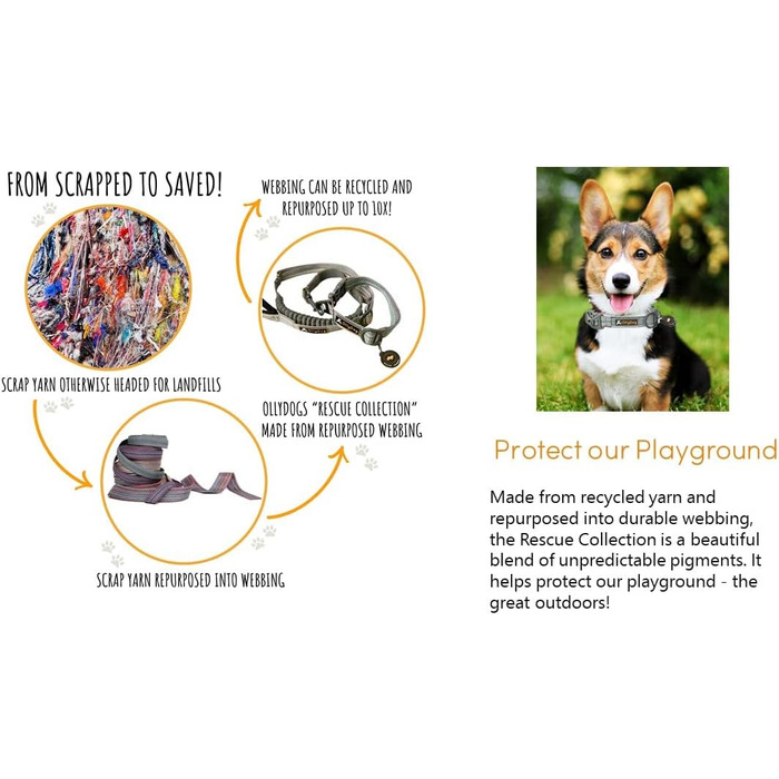 Ошийник для собак OllyDog Rescue регульований, легкий, з міцною пряжкою, для великих, середніх і малих порід, призматично-зелений