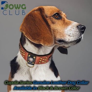 Шкіряний нашийник для собак DowgClub Cupola, кельтські кончо, золоті купольні заклепки, м'яка підкладка, ручна робота, сієнна, 57 см, для середніх і великих порід