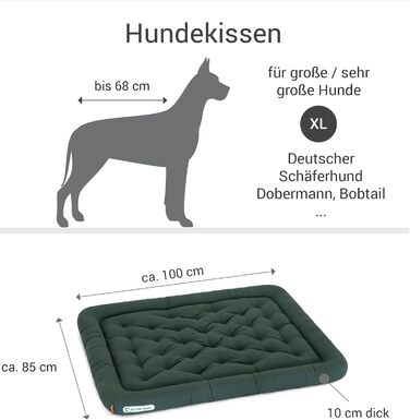 Ортопедичне ліжко для собак Doctor Bark, XL (100x85 см), зелене, 95°C, гігієнічне, міцне та зручне