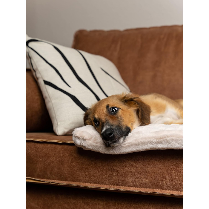 TrendPet Harmony: м'яка підстилка для собак та котів, 50x35 см, кремового кольору