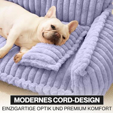 Софа для собак Chaffar | Ортопедичний лежак для собак | Сучасний стиль | Велюрова оббивка, фіолетовий, розмір L (100 см)