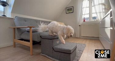 Двоступенева драбинка для домашніх тварин PetStair Deluxe зі сховищем