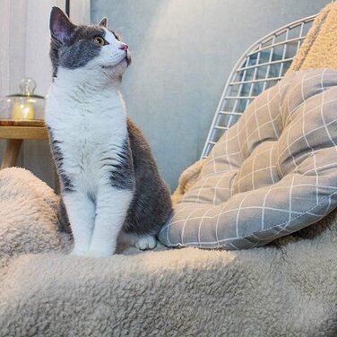 Balacoo Преміум флісова ковдра для собак, м'яка та тепла, плюшевий килимок для собак та котів, розмір L (бежевий)