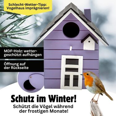 Пташник Vogelhaus No.64: для малих птахів (синиця, горобець, зяблик), декор для дому та місце для гніздування на вулиці, фіолетовий
